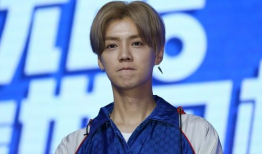 吃瓜娱乐圈鹿晗是谁啊,娱乐圈的瓜中明星