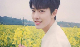 吃瓜娱乐圈肖战王一博,肖战王一博的瓜界传奇